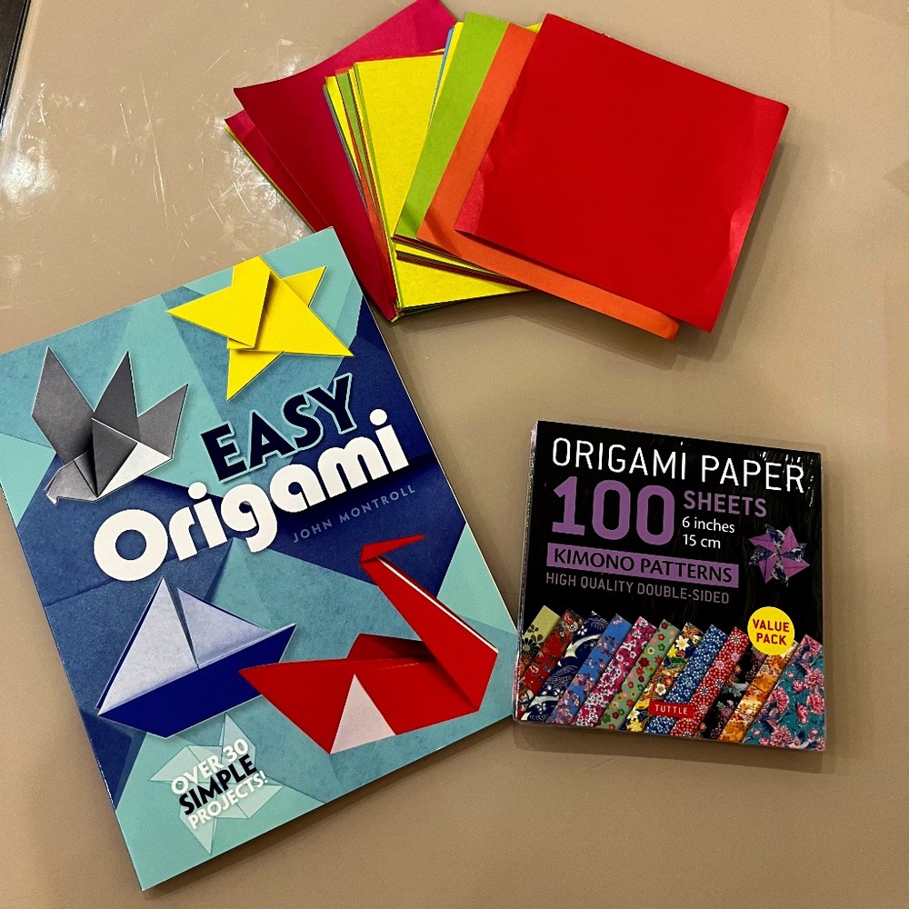 Kids / Adult  Origami Craft Activity